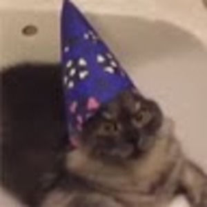 Meet your Posher, Bryan